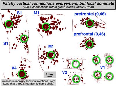 Topological Maps and Brain Computations From Low to High